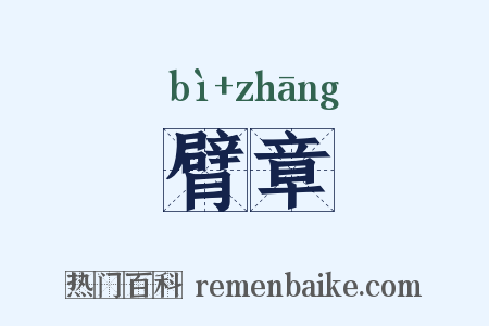 臂章是什么意思的图片